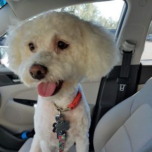 Meet your Posher, Candice